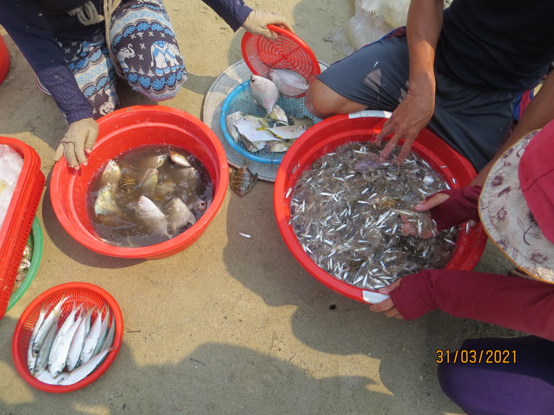 [Image: IMG-8318-resize.jpg]