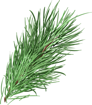 DaelmansDesigns-DearSanta-TS-PU-Element-083