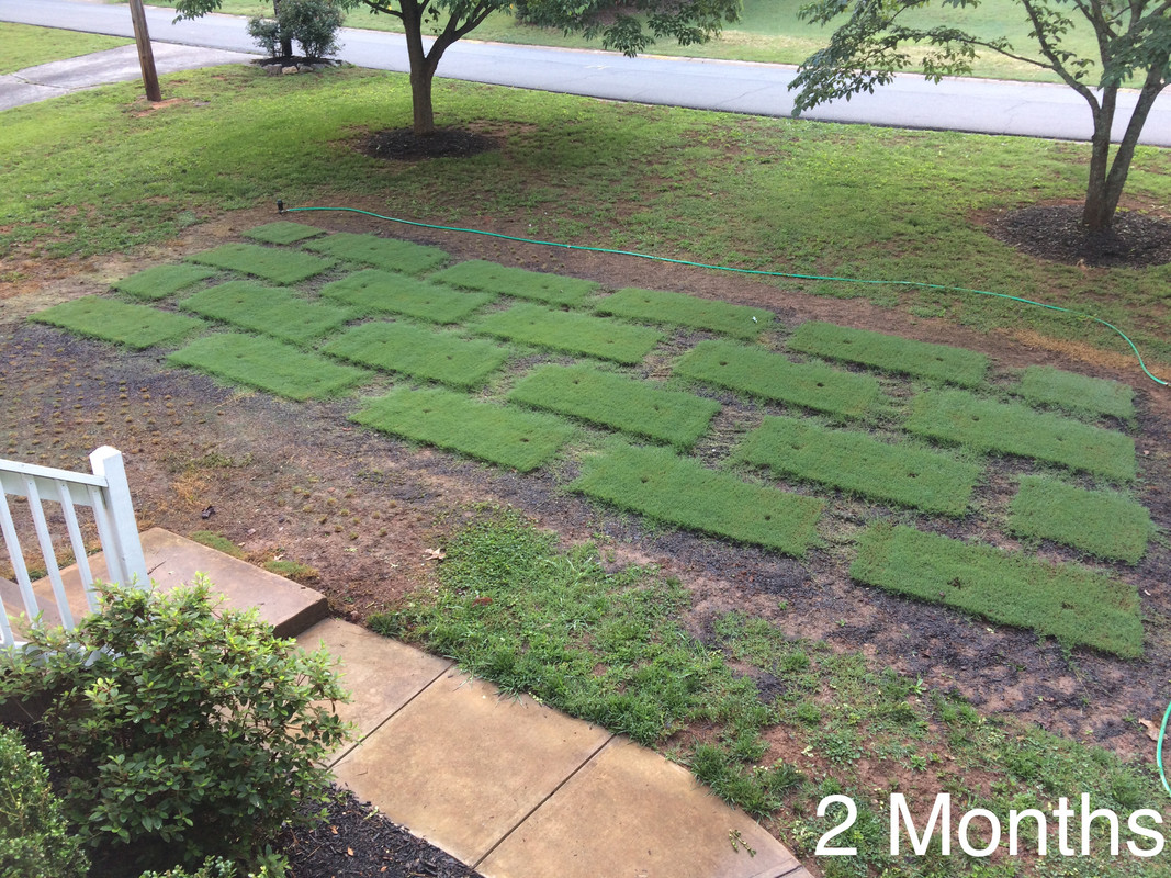 442DD68B-6BE5-4A5F-8AE4-3ABA94515243