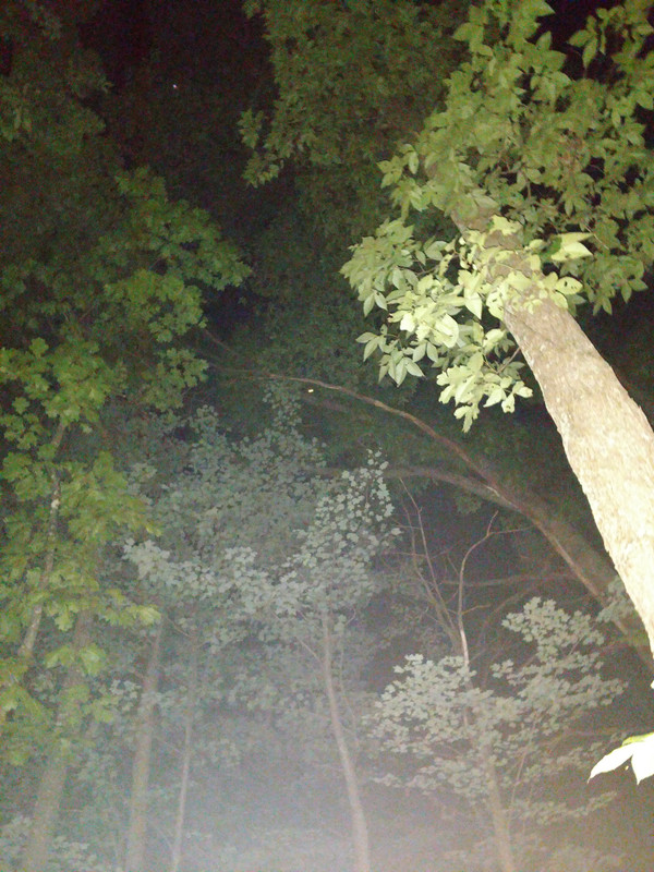 IMG_20180805_224938942