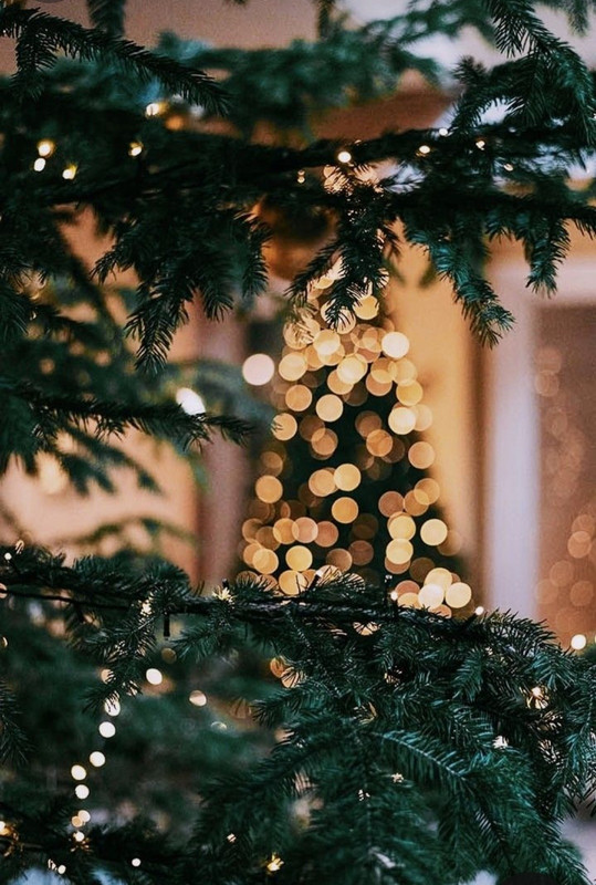 Screenshot_20231204_222602_Pinterest