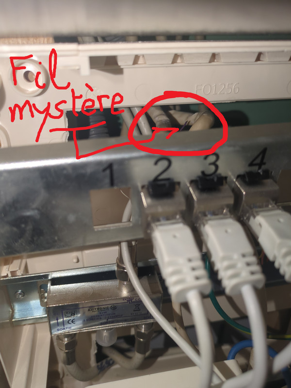 IMG 20260330 205208 478