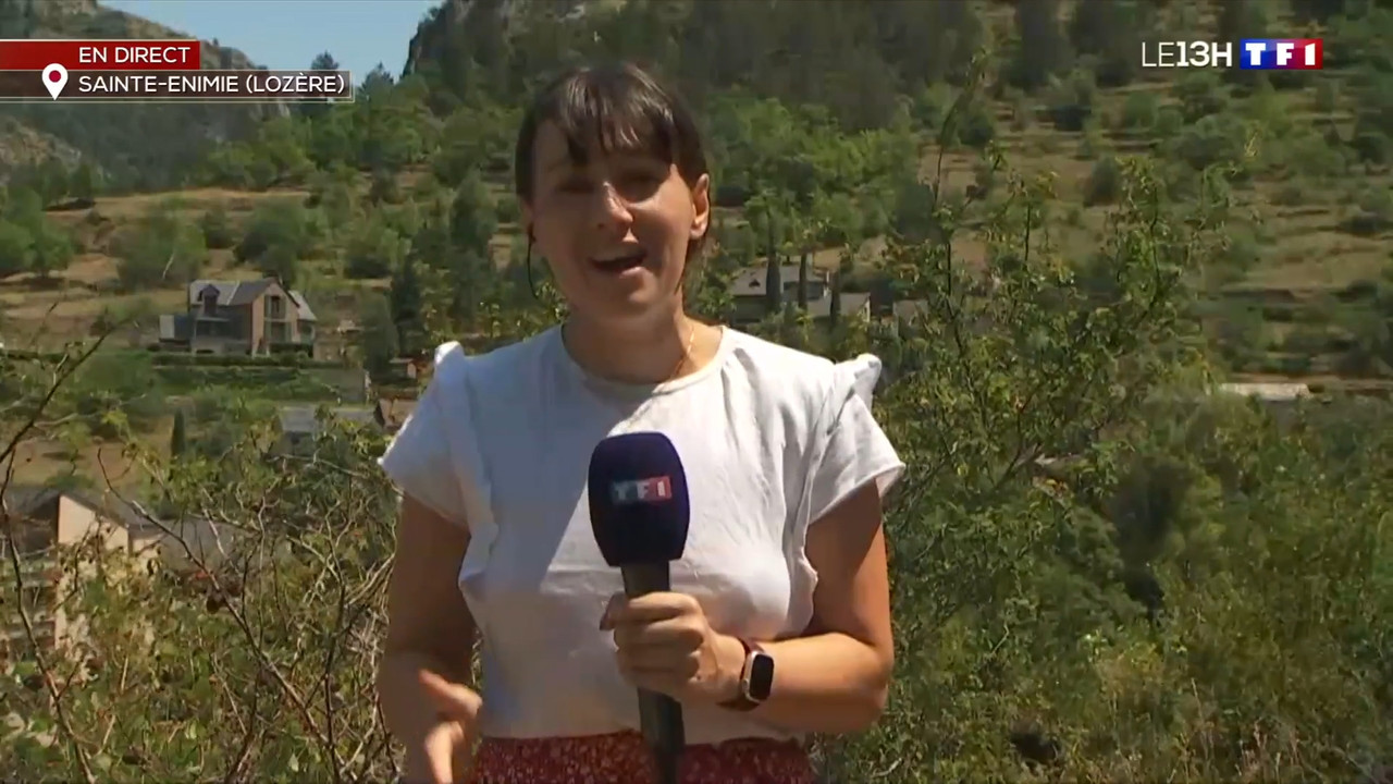 2022-07-19_13_00_TF1_Le-13h.mp4_snapshot_00.35.09.513