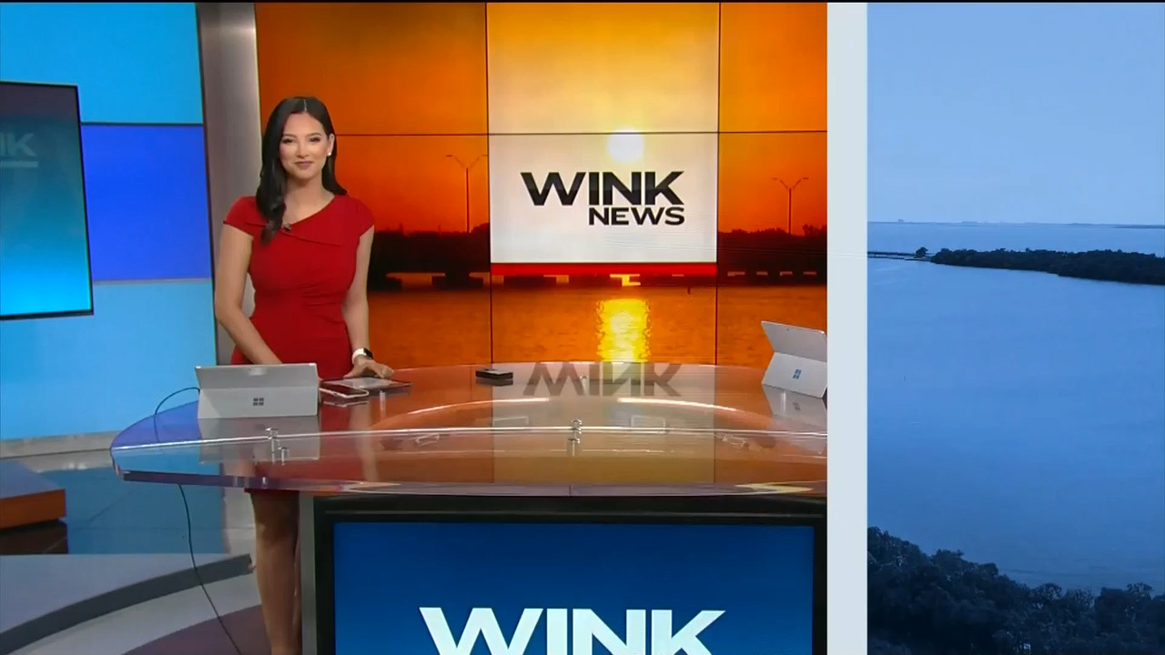 01.24 - 11.00.00 - WINK News @ 6 00AM Sunday..ts_snapshot_00.32.10.411