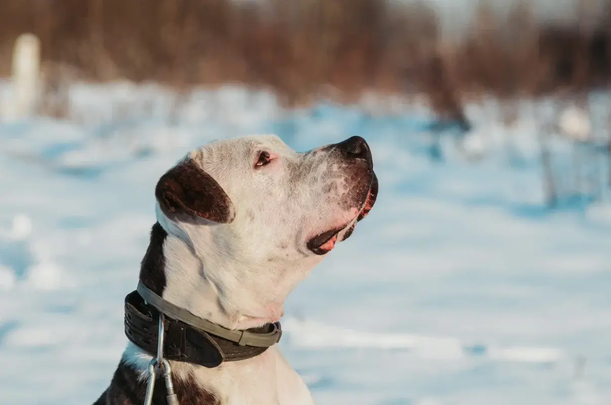 2021-12-12 02-08-26 (3)