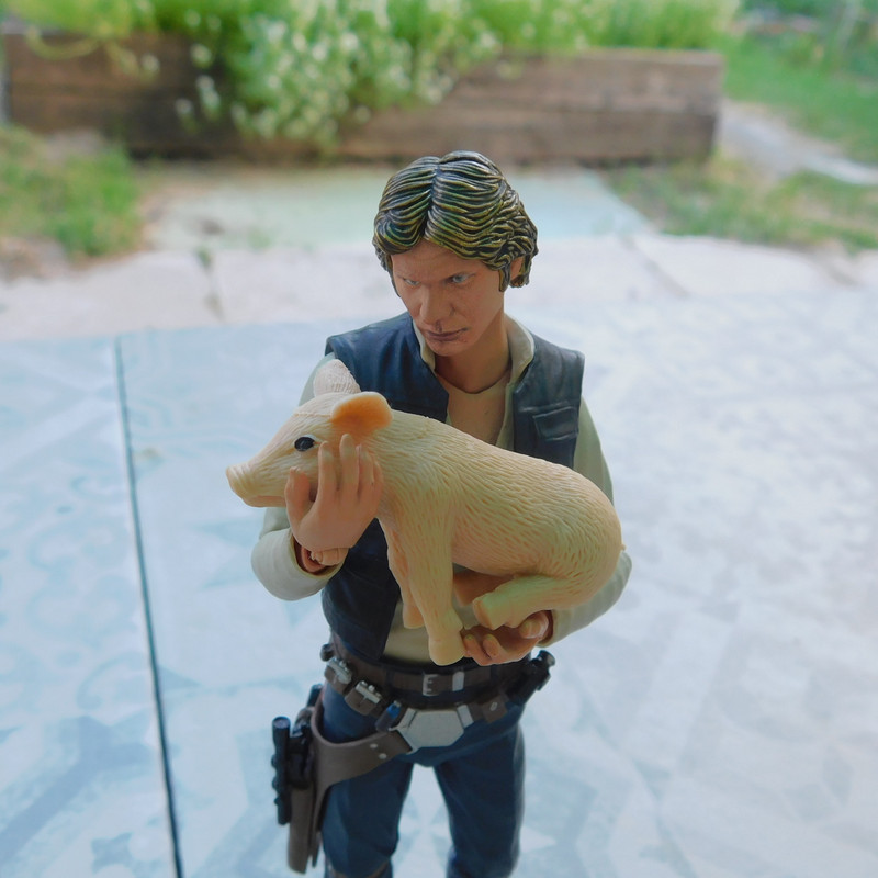 Дачно-Харлинский июнь-июль 2024 303