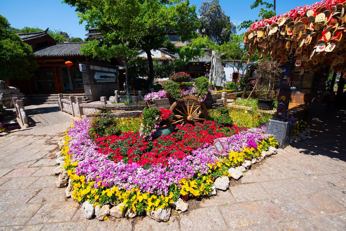 Yunnan 2019 - Blogs de China - Dia 6 - Lijiang y Shuhe (41)