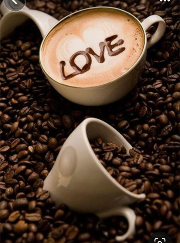 Screenshot_20230911_214754_Pinterest