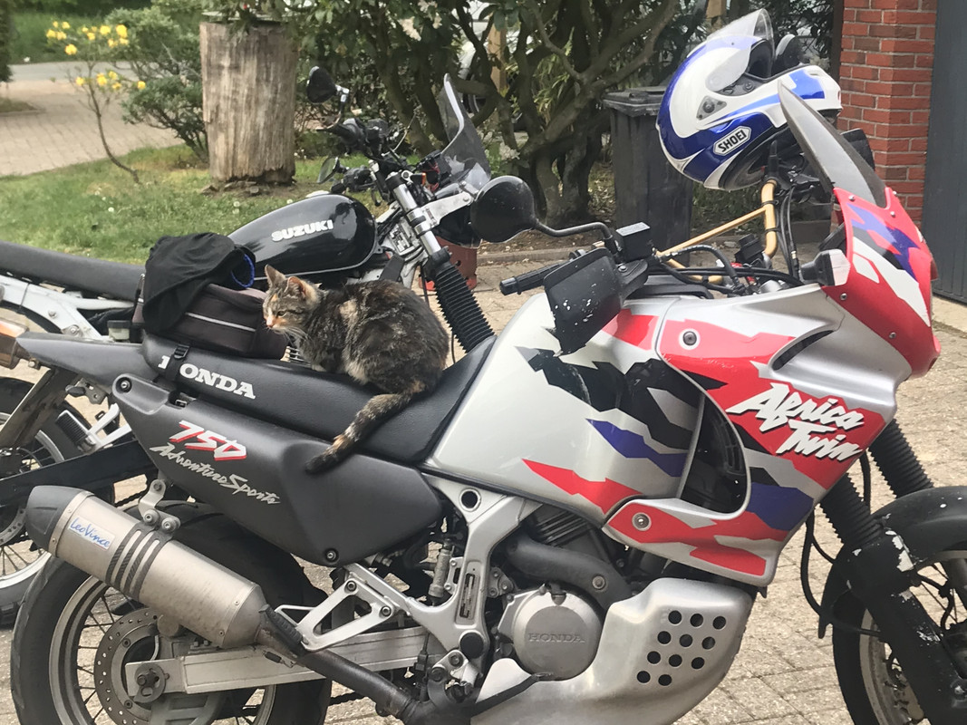 37E06A19-4A70-4FBF-B97A-4F3C3289407D