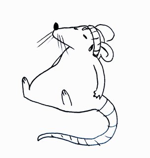 image of a tired, sweating rat sitting