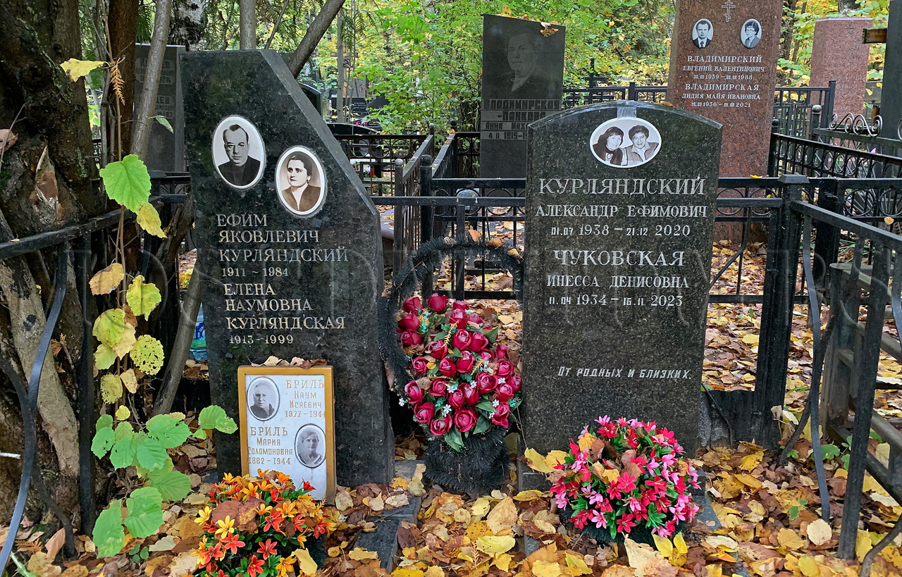 kurlyandsky-ae-new-b