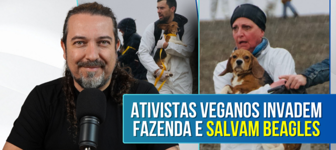 Ativistas veganos invadem fazenda e salvam Beagles que iriam para laboratório de testes em animais