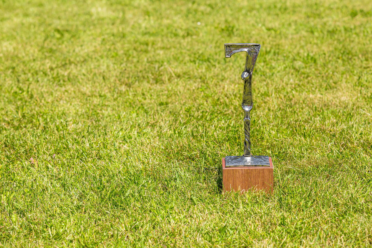 Otevřený turnaj -  RC Brno Dragon proti RA Brno 33