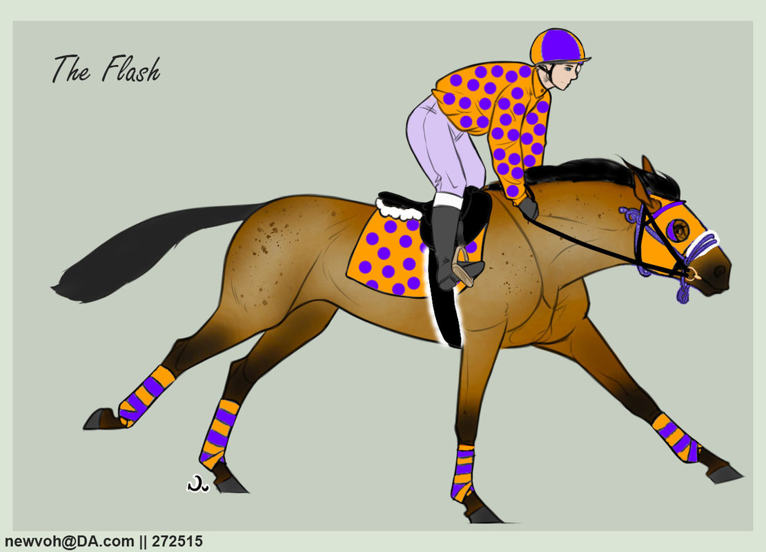 Racing-Contest1fin.jpg