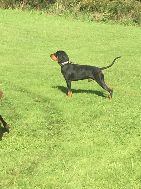 210046F5-6687-40A1-8692-F59C1CEDEB8D