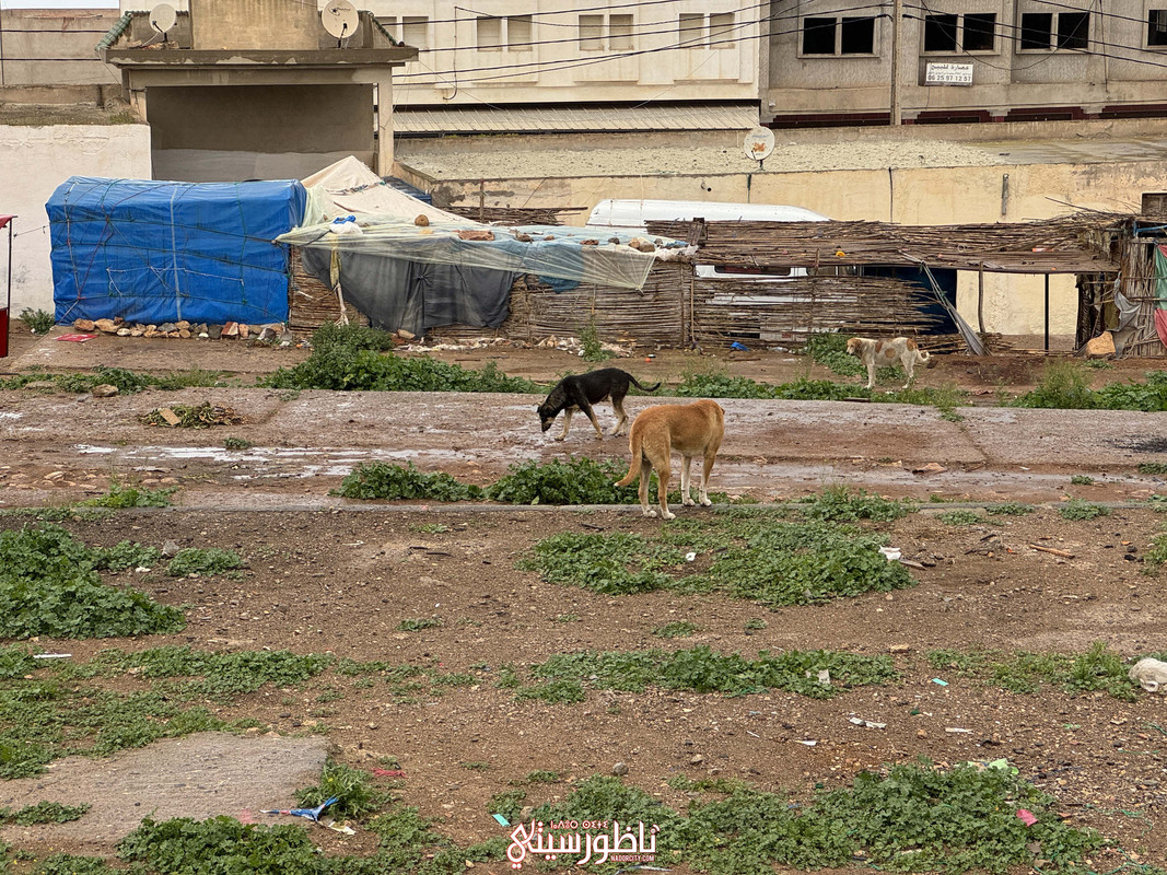 image00008