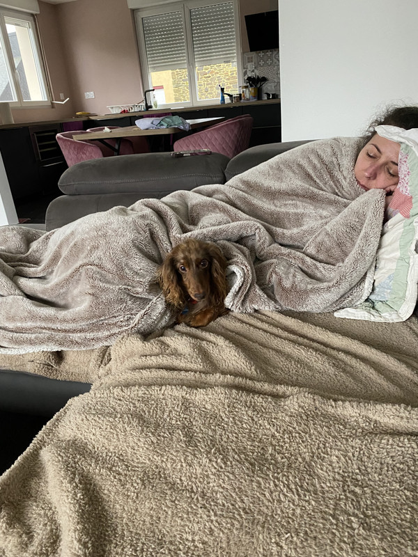 [Image: IMG-4146.jpg]