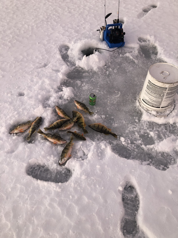 24CD9FD8-B903-4C1D-AD6B-357451FC7728