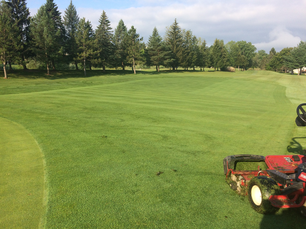 C68EB167-C74C-49FD-B95F-596E9A4DC3CA