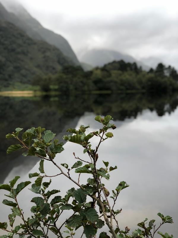 CUADERNO DE BITACORA DE UNA SEMANA EN ESCOCIA CON NIÑOS - Blogs de Reino Unido - DIA 5 LAGO NESS Y GLENFINANN (8)