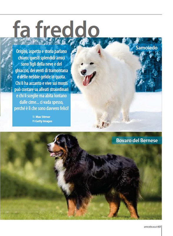 Il M C Ott-Nov 2023 (12)