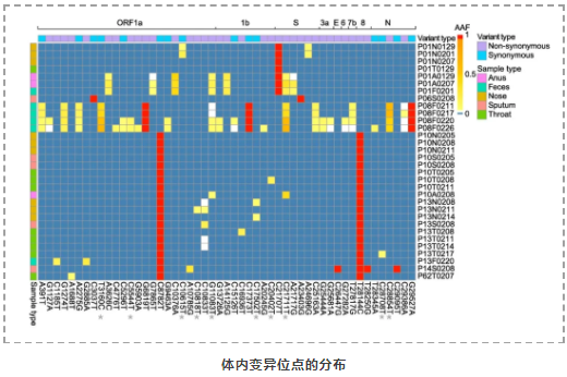 新冠病毒在个体内变异及个体间传播演化最新研究进展-4.png