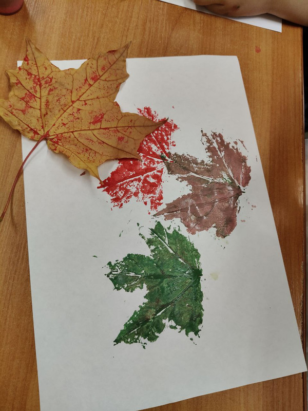 IMG 20260129 215423 794