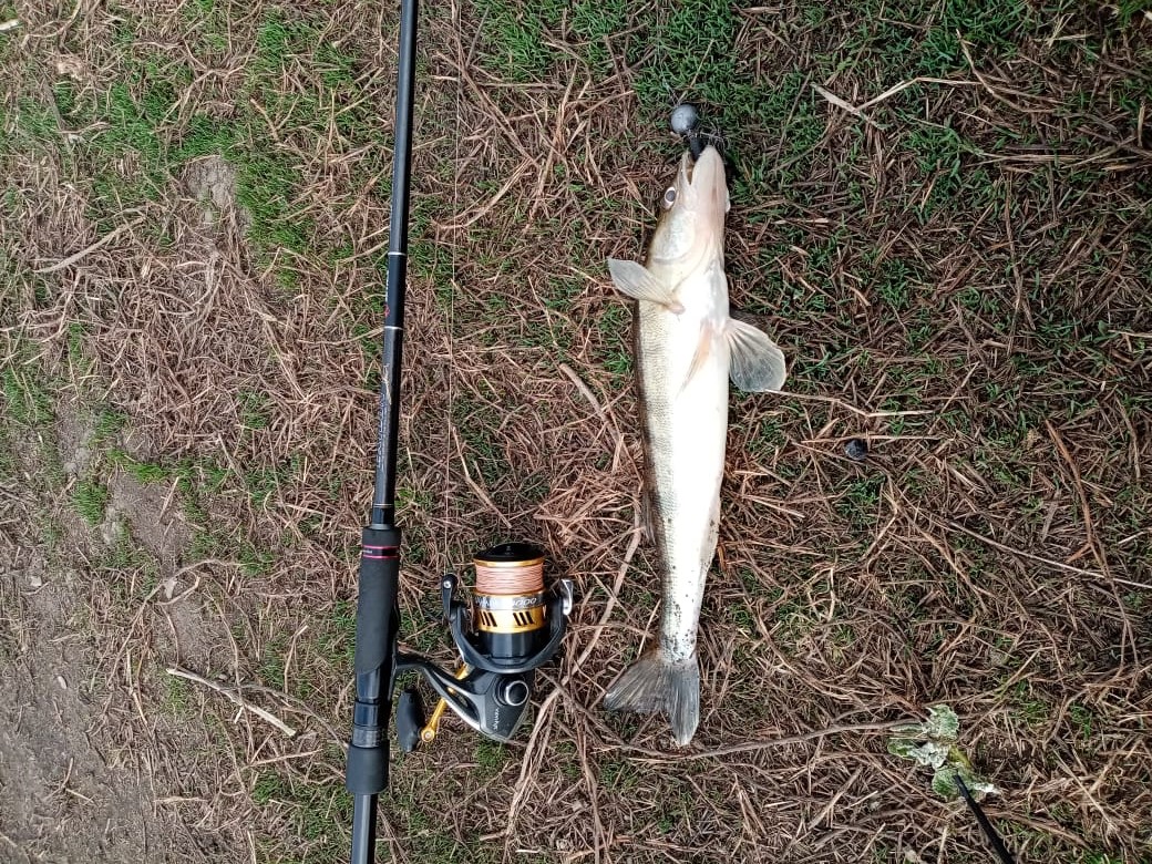 Москва-река джиг спиннинг судак щука мастер-класс Куляпин Андрей обучение рыбалка троллинг ловля оку