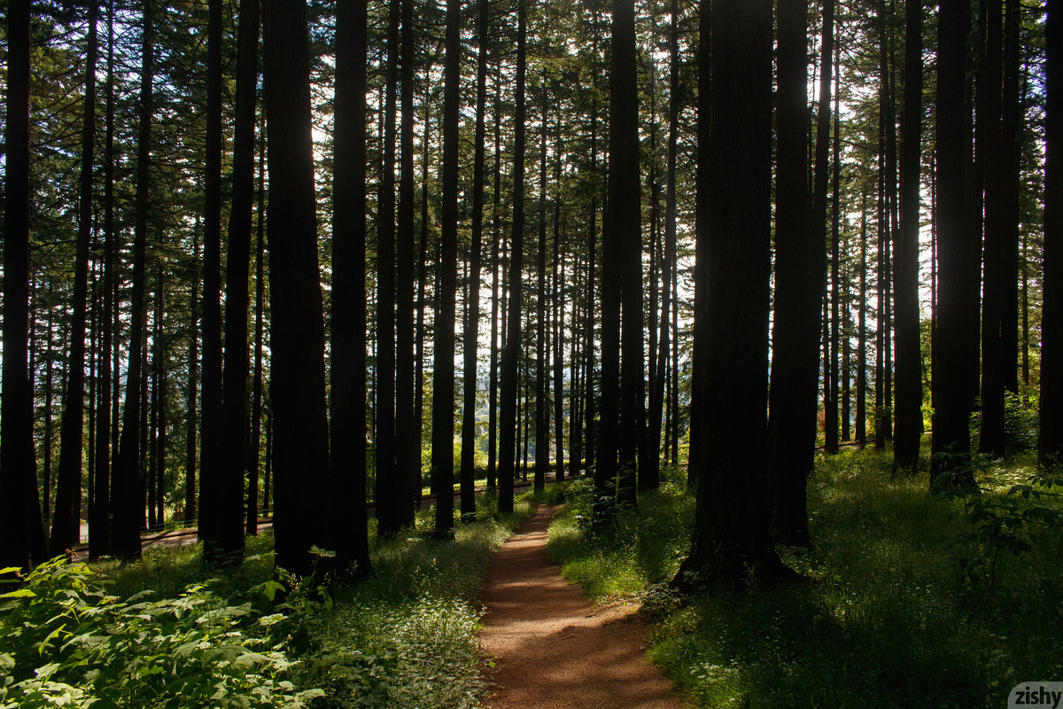 full_041_5107175321220957