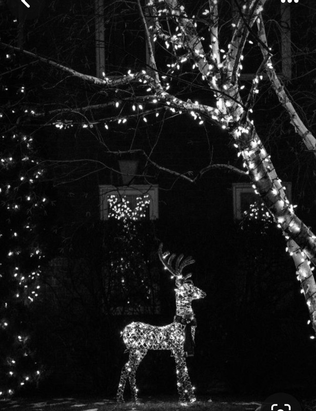 Screenshot_20231207_215453_Pinterest