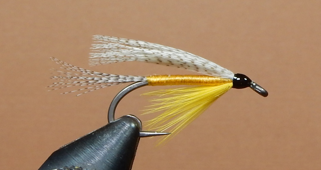 Neversink-1080.jpg