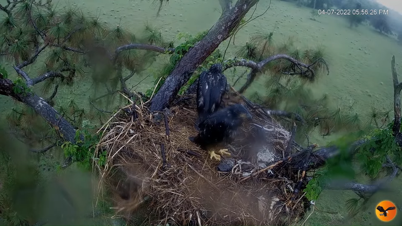 EC 4K Overhead Cam 6-24-23 screenshot