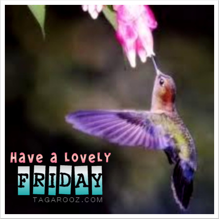 Friday-Have-a-lovely-Friday