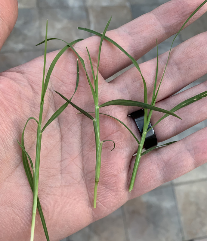 16C57CC0-483A-47C1-B89D-66A2E257B676