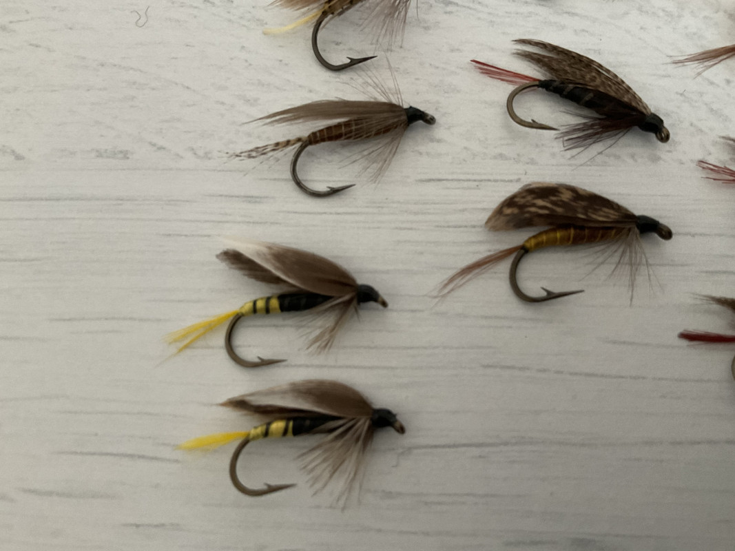 9141E49A-FBB2-4C2A-BCF8-5C671AF9B92D