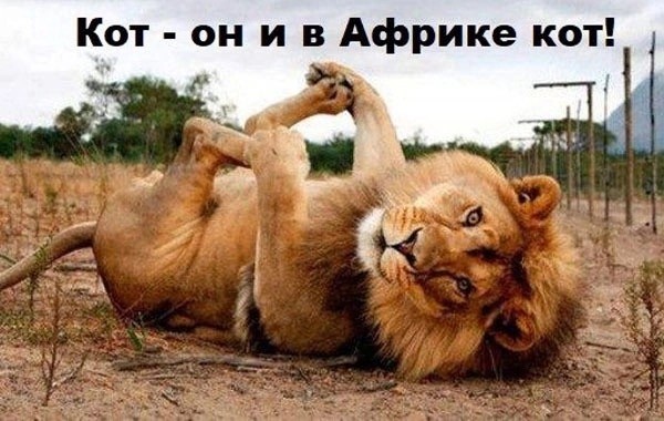 19715321.jpg