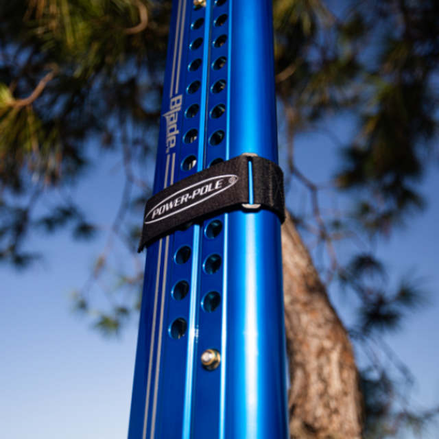 E71C6CE4-3C30-44E0-BC74-AC894B21E327