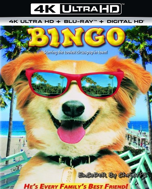 Bingo (1991) MULTI.HDR.2160p.BluRay.PCM.AC3-ChrisVPS / LEKTOR i NAPISY