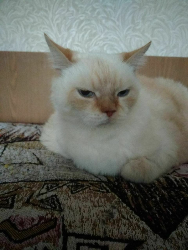 photo_2023-09-14_15-41-54 (2)