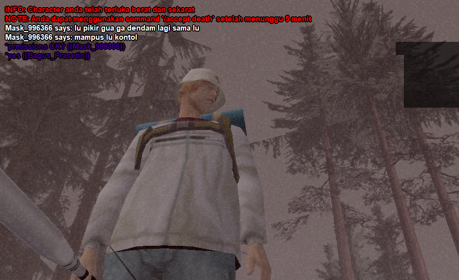 11.png