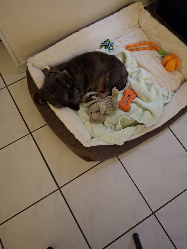 [Image: IMG-20250104-203303.jpg]