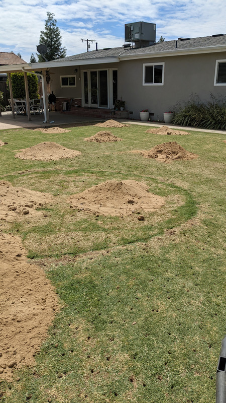 PXL_20220528_175849746