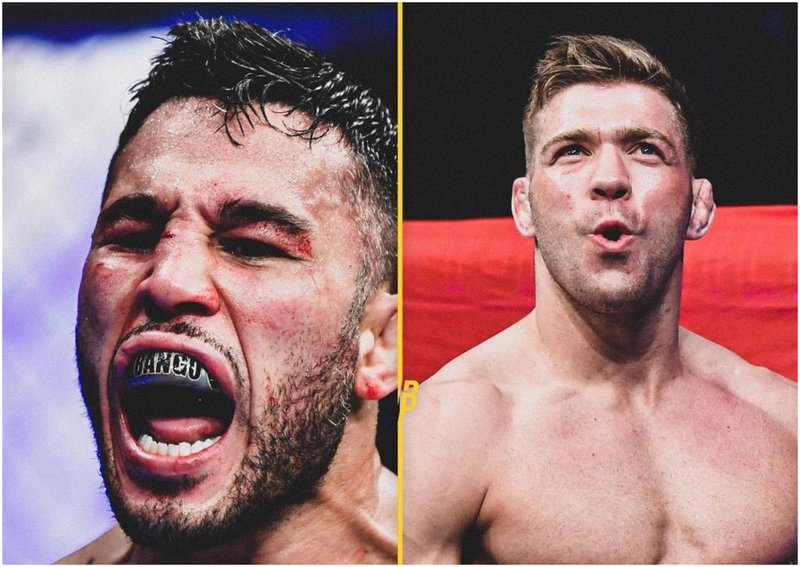 Брад Таварес срещу Дрикус дю Плеси на UFC 276