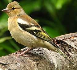 19B0DC09-6C50-4EDE-9FB4-02DEFF38C1F6