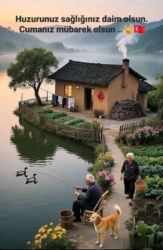 Whats App Bild 2025 10 17 um 09 41 18 af6ae8f8
