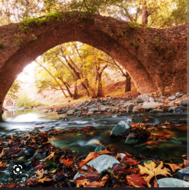 Screenshot_20221124-234525_Chrome