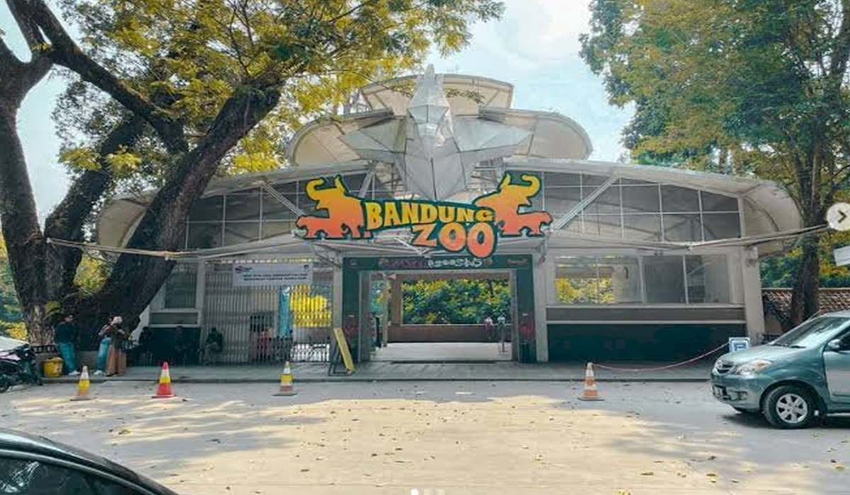 Bandung Zoo Kembali Dibuka Usai Tutup Mendadak, Ini Penjelasannya!