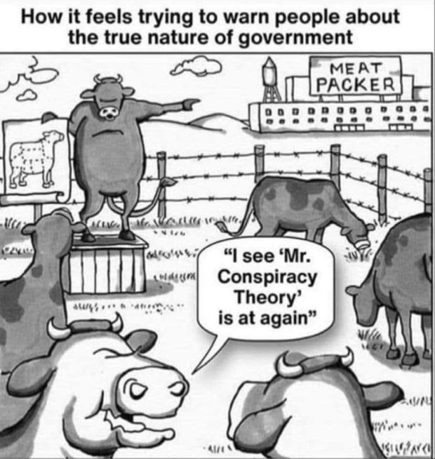 cows-government-conspiracy.png