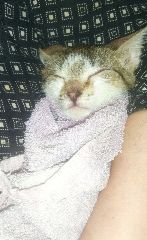 photo_2024-06-20_00-20-18