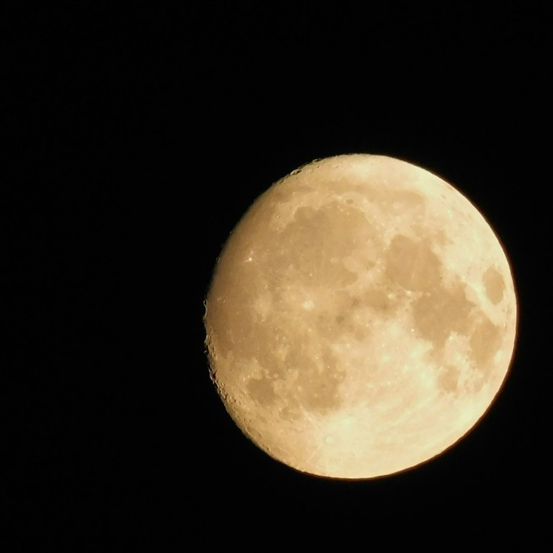 Август дачный кукольный 2023 001